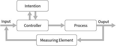 Procedural Control Versus Resources as Potential Origins of Human Hyper Selectivity